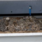 A Modul-Stor darujának segítségével szállították el a Dunából kiemelt bombát